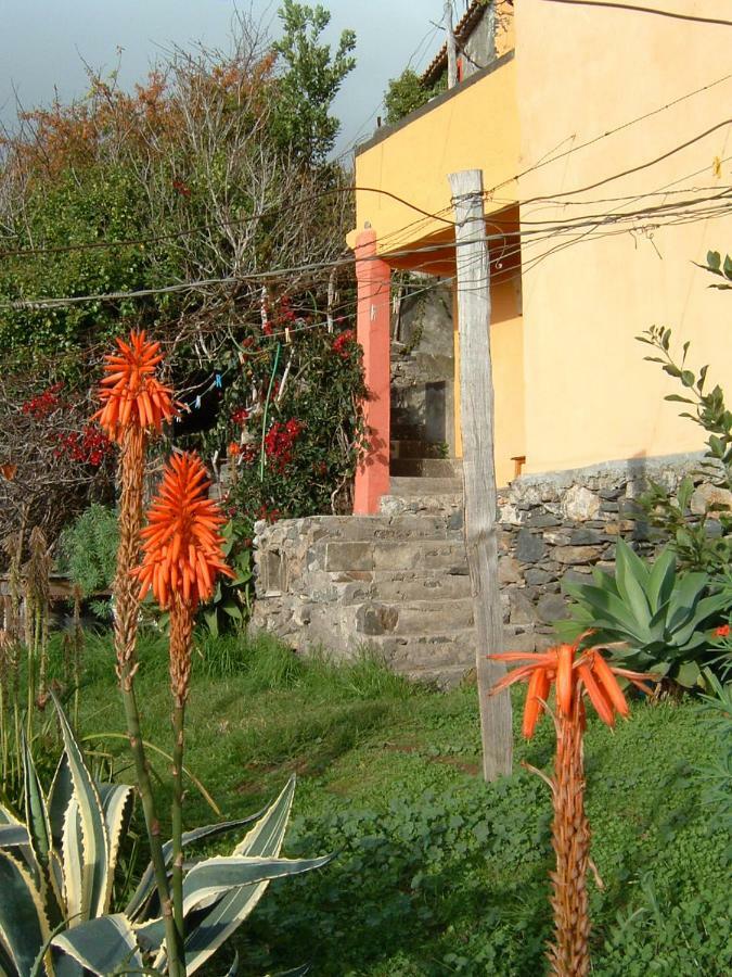 Madeira-Meerblick-Haus Estreito Da Calheta Zewnętrze zdjęcie