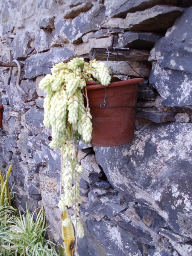 Madeira-Meerblick-Haus Estreito Da Calheta Zewnętrze zdjęcie